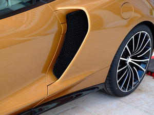 20194.0T (bio)(zhn) (x)(ji)^