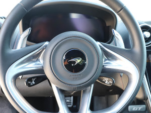 20234.0T (bio)(zhn) п؅^(q)