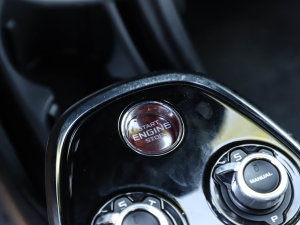 20234.0T (bio)(zhn) п؅^(q)