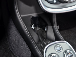 2015��3.8T Coupe ���g����