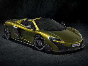 2016��Spider ���w���^