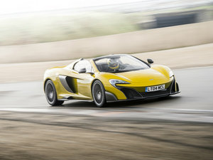 2016��Spider ���w���^