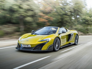 2016��Spider ���w���^