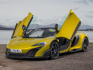 2016��Spider ���w���^