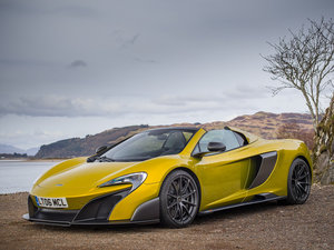 2016��Spider ���w���^