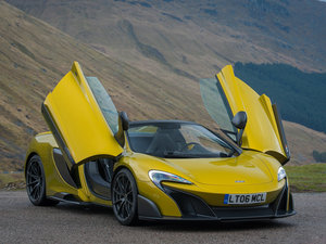 2016��Spider ���w���^