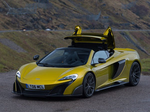 2016��Spider ���w���^