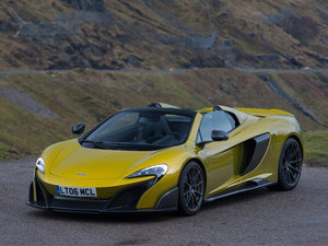 2016��Spider ���w���^