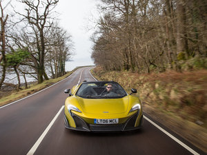 2016��Spider ���w���^