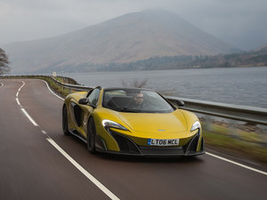 2016��Spider ���w���^