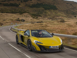 2016��Spider ���w���^