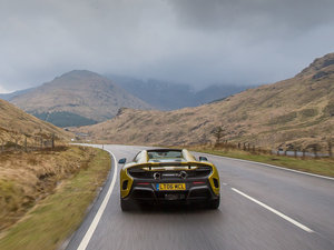 2016��Spider ���w���^