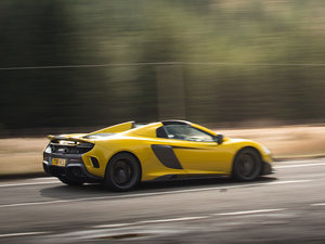 2016��Spider ���w���^