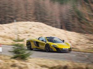 2016��Spider ���w���^