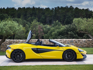 2017Spider w^