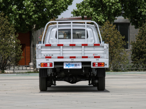 2021款2.0L 超牛加长版LV1 正后	