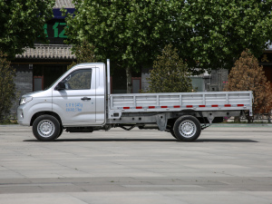 2021款2.0L 超牛加长版LV1 正侧（左）