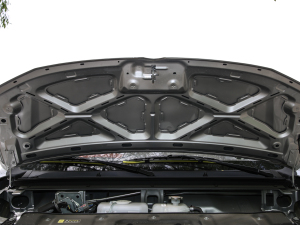 2021款2.0L 超牛加长版LV1 其它