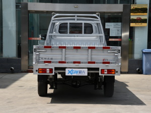 2021款1.6L 真牛版LV0 正后	