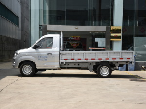 2021款1.6L 真牛版LV0 正侧（左）