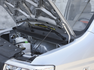 2021款1.6L 真牛版LV0 其它