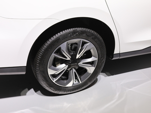 2019����Ş�� �������^