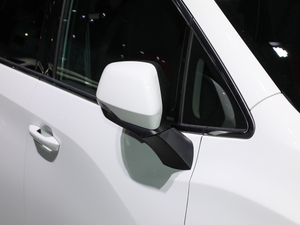 2019����Ş�� �������^