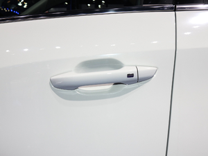 2019����A�� ���{�T����