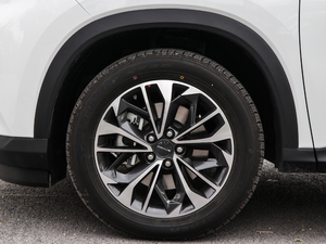 2020PLUG IN EXTRA ݆Ȧ