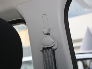 2019Plus VAN܇ 2.0T ԄӶS 6 g