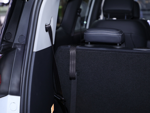 2020��PLUG IN ���A�� ���g����