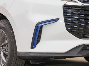 2020���� 6/7�� �������^