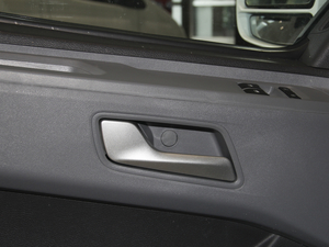 2020PLUSа 2.0T քӶS 5/6 g