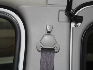 2020PLUSа 2.0T քӶS 5/6 g