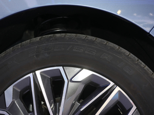 2021PLUS 2.0T ԄŞ  ^