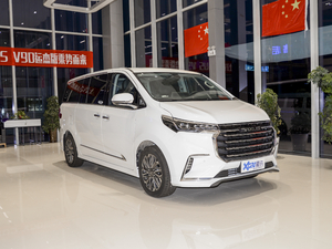 2021PLUS 2.0T Ԅ(dng)  w^