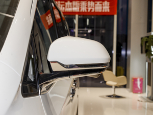 2021PLUS 2.0T Ԅ(dng)  ҕR