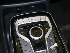 2021PLUS 2.0T Ԅ(dng)  QU