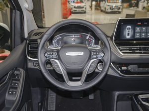 2021PLUS 2.0T Ԅ(dng)  P