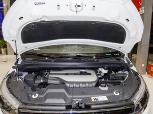 2021PLUS 2.0T Ԅ  l(f)әC