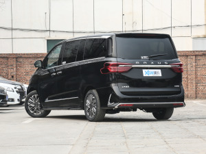 2021PLUS 2.0T ԄӺA  45