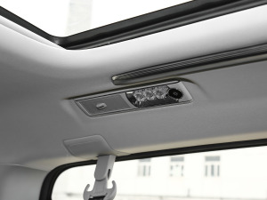 2021PLUS 2.0T ԄӺA  g