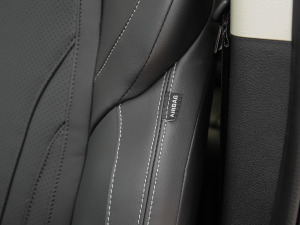 2021PLUS 2.0T Ԅ(dng)A  g