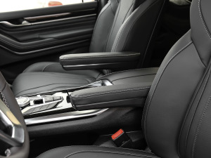 2021PLUS 2.0T Ԅ(dng)A  g