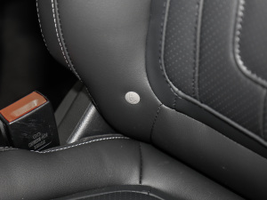 2021PLUS 2.0T Ԅ(dng)A  g