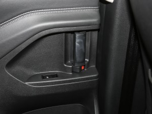 2021PLUS 2.0T Ԅ(dng)A  g