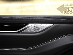 2021PLUS 2.0T ԄӺA  g