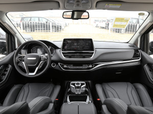 2021PLUS 2.0T ԄӺA  (ni)ȫ