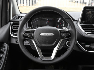 2021PLUS 2.0T ԄӺA  P