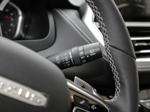 2021PLUS 2.0T ԄӺA  п؅^